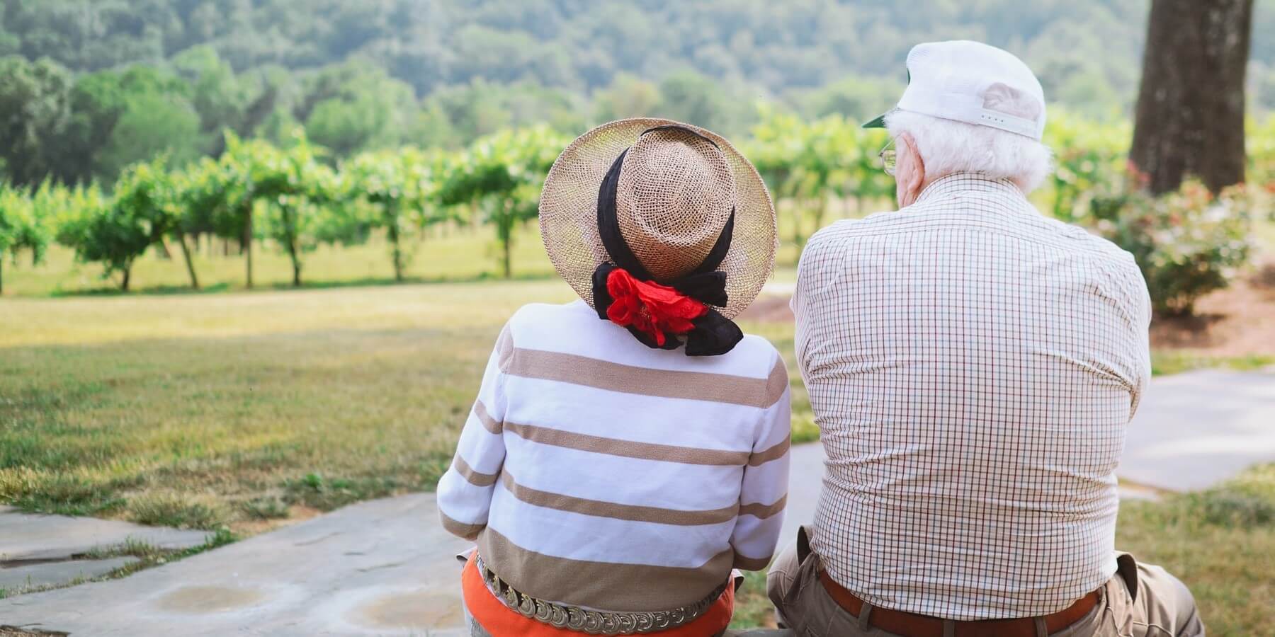 senior couple senior couple sitting in the park